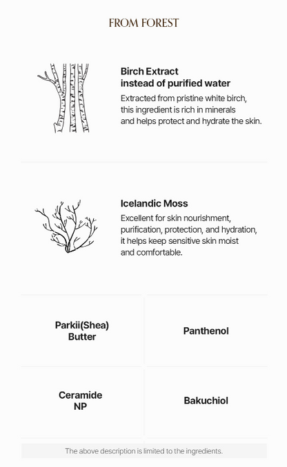 LOGIN FOREST Hand Cream Set of 6 30ml*6ea