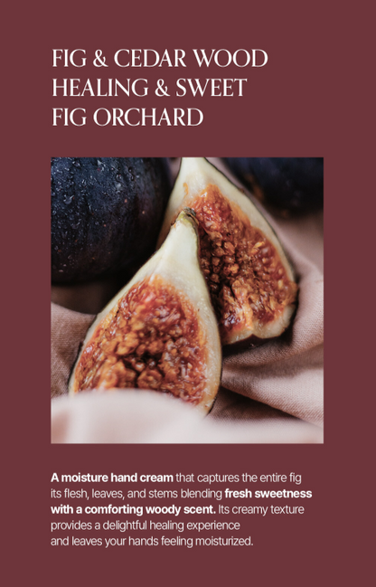 LOGIN FOREST Hand Cream Set of 6 30ml*6ea