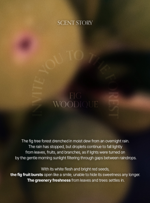 LOGIN FOREST Hand Cream Set of 6 30ml*6ea