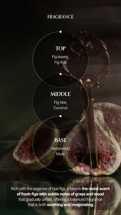 LOGIN FOREST Hand Cream Set of 6 30ml*6ea