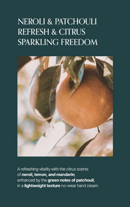 LOGIN FOREST Hand Cream Set of 6 30ml*6ea