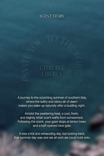 LOGIN FOREST Hand Cream Set of 6 30ml*6ea