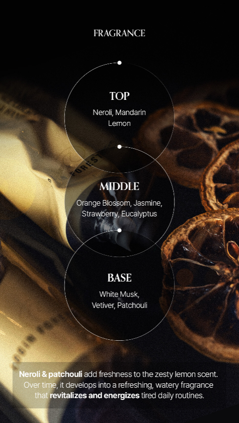 LOGIN FOREST Hand Cream Set of 6 30ml*6ea