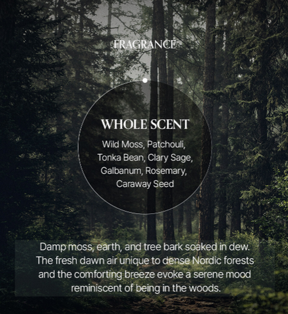 LOGIN FOREST Hand Cream Set of 6 30ml*6ea