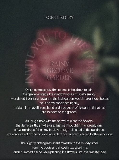 LOGIN FOREST Hand Cream Set of 6 30ml*6ea