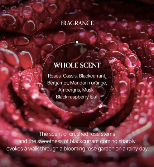 LOGIN FOREST Hand Cream Set of 6 30ml*6ea