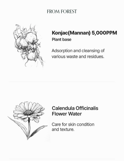 LOGIN FOREST Overflow Seoul Bouquet Konjak Sleek Shower