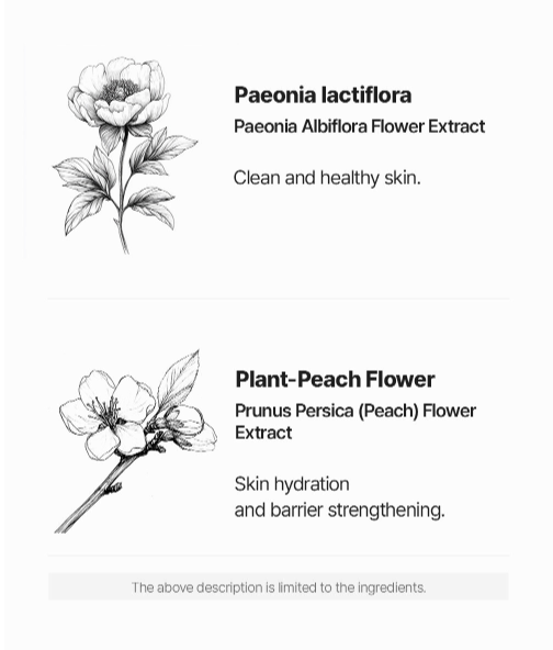 LOGIN FOREST Overflow Seoul Bouquet Konjak Sleek Shower