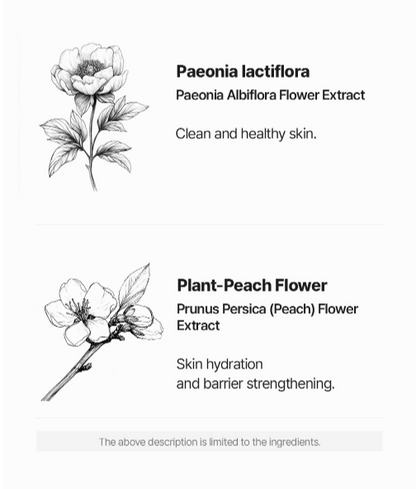 LOGIN FOREST Overflow Seoul Bouquet Konjak Sleek Shower